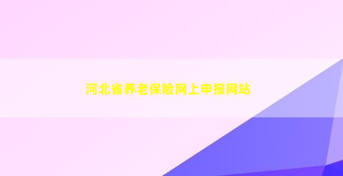 河北省养老保险网上申报网站